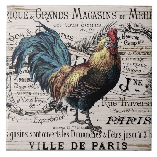 ヴィンテージパリロスターホームデコールタイル タイル (正面)