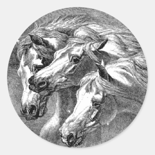 ヴィンテージパロアホースイラストレーションシール ラウンドシール (正面)