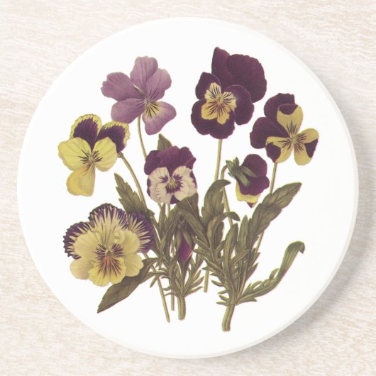 ヴィンテージパンジー開花、フローラガーデンフラワー コースター (正面)