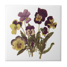 ヴィンテージパンジー開花、フローラガーデンフラワー タイル