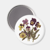 ヴィンテージパンジー開花、フローラガーデンフラワー マグネット (正面/裏面)