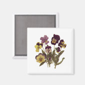 ヴィンテージパンジー開花、フローラガーデンフラワー マグネット (正面/裏面)