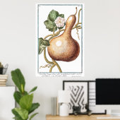 ヴィンテージパンプキンイラストレーションバイジョルジオボネリ ポスター (ホームオフィス)