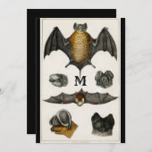 ヴィンテージパーソナライズされたこうもりギフトイラストレーション 招待状 (正面/裏面)