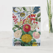 ヴィンテージパーソナライズされたキクのケシ薄紫 カード (正面)