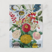 ヴィンテージパーソナライズされたキクのケシ薄紫 ポストカード (正面)