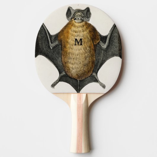 ヴィンテージパーソナライズされたギフトこうもりイラストレーション 卓球ラケット (正面)
