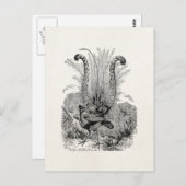 ヴィンテージパーソナライズされたバード – レトロリレバードバード ポストカード (正面/裏面)