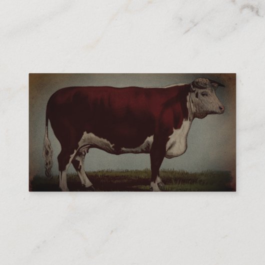 ヴィンテージパーソナライズされたヘレフォードカウ名刺 名刺 (裏面)