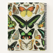 ヴィンテージパーソナライズされた蝶 ノートブック (裏面)