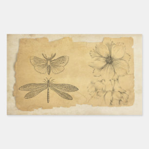 ヴィンテージパーチメントコラージュスクラップブック 長方形シール