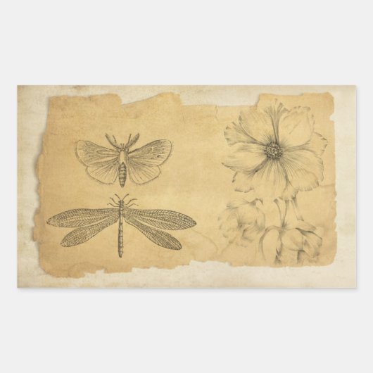 ヴィンテージパーチメントコラージュスクラップブック 長方形シール (正面)