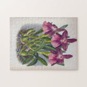 ヴィンテージパープルレディーランズミルトニアスペクタビリス ジグソーパズル (横)