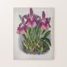 ヴィンテージパープルレディーランズミルトニアスペクタビリス ジグソーパズル