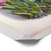 ヴィンテージパープルレディーランズミルトニアスペクタビリス ポスター (角)