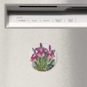 ヴィンテージパープルレディーランズミルトニアスペクタビリス マグネット (インサイチュ (食洗機))