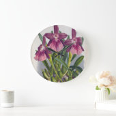 ヴィンテージパープルレディーランズミルトニアスペクタビリス ラージ壁時計 (ホーム)