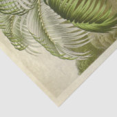 ヴィンテージパームツリーエフェメラデクペフランスの 薄葉紙 (詳細)