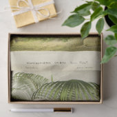 ヴィンテージパームツリーエフェメラデクペフランスの 薄葉紙 (ギフト)