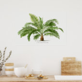 ヴィンテージパームツリー、イラストレーション ポスター (キッチン)