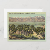 ヴィンテージパーム春カリフォルニアランドスケープ ポストカード (正面/裏面)