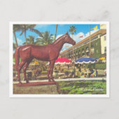 ヴィンテージヒアレアフロリダ ポストカード (正面)