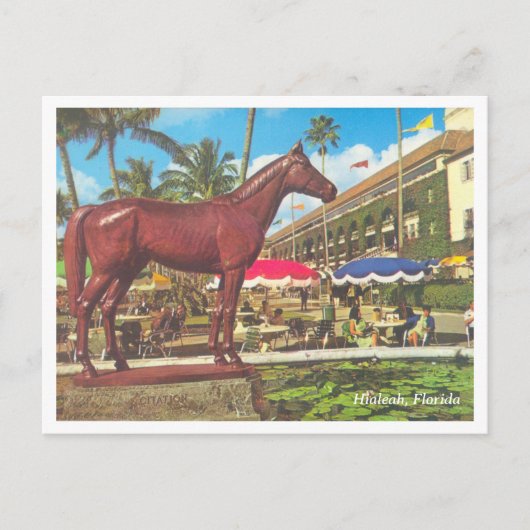 ヴィンテージヒアレアフロリダ ポストカード (正面)