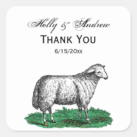 ヴィンテージヒツエウファームアニマルズスケッチC スクエアシール (正面)