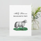 ヴィンテージヒツエウファームアニマルズスケッチC 招待状 (スタンド正面)