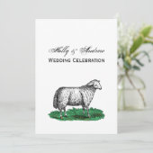 ヴィンテージヒツエウファームアニマルズスケッチC 招待状 (スタンド正面)