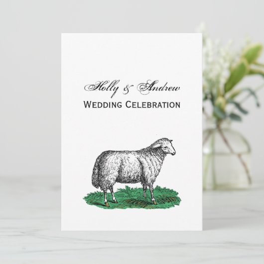 ヴィンテージヒツエウファームアニマルズスケッチC 招待状 (スタンド正面)