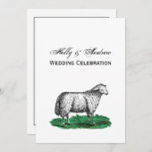 ヴィンテージヒツエウファームアニマルズスケッチC 招待状 (正面/裏面)