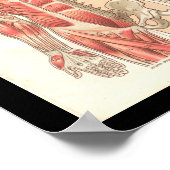 ヴィンテージヒトの筋肉と骨格解剖学プリント ポスター (角)