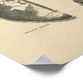 ヴィンテージヒトスカルボーン1880プリント ポスター (角)