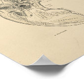 ヴィンテージヒトスカルボーン1880プリント ポスター (角)