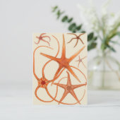 ヴィンテージヒトデイラストレーション ポストカード (スタンド正面)