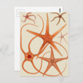 ヴィンテージヒトデイラストレーション ポストカード (正面/裏面)