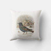 ヴィンテージヒトデ クッション (裏面)