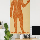 ヴィンテージヒト神経系イラストレーション(1887) ポスター (ホームオフィス)