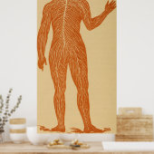 ヴィンテージヒト神経系イラストレーション(1887) ポスター (キッチン)