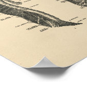 ヴィンテージヒト神経解剖学1880プリント ポスター (角)