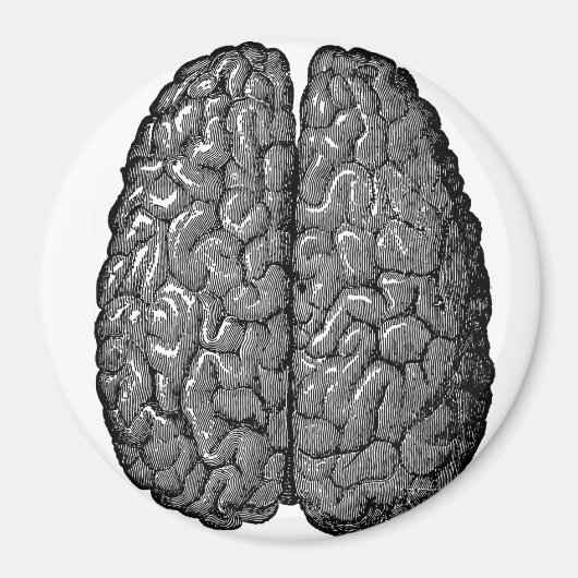 ヴィンテージヒト脳イラストレーション マグネット (正面)