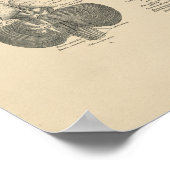 ヴィンテージヒト脳解剖学1880プリント ポスター (角)