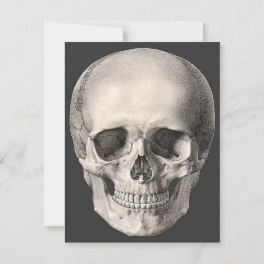 ヴィンテージヒト解剖学スカル、ハロウィーン骨格 カード (正面)