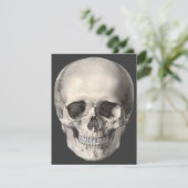 ヴィンテージヒト解剖学スカル、ハロウィーン骨格 カード (スタンド正面)