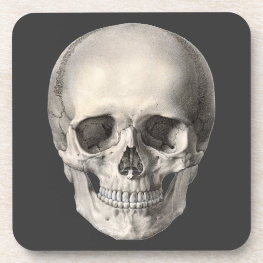 ヴィンテージヒト解剖学スカル、ハロウィーン骨格 コースター (正面)