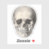 ヴィンテージヒト解剖学スカル、ハロウィーン骨格 シール (シート)