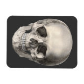 ヴィンテージヒト解剖学スカル、ハロウィーン骨格 マグネット (横)