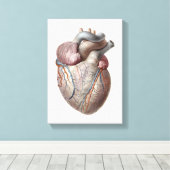 ヴィンテージヒト解剖学ハート器官ヘルシー キャンバスプリント (インサイチュ (ウッドフロア))