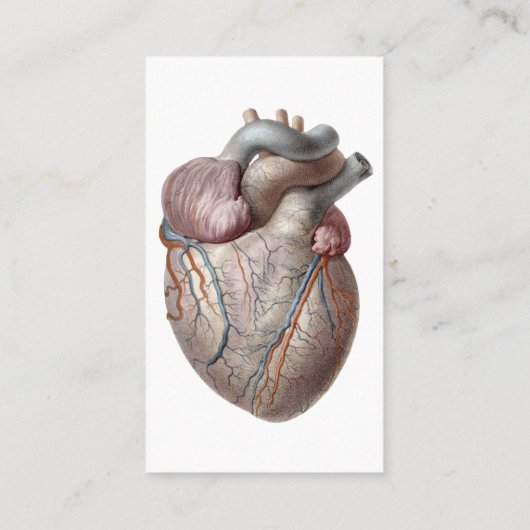 ヴィンテージヒト解剖学ハート器官ヘルシー 名刺 (裏面)
